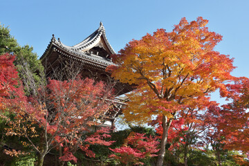 紅葉の善峯寺　山門　京都市