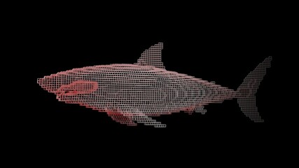A shark made of many cubes on a black uniform background. Constructor of cubic elements. Art of the wild animal world in modern performance. 3d rendering.