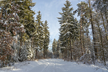 Landschaft im Winter
