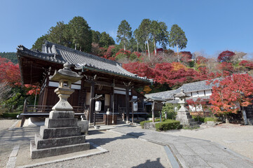 Fototapeta premium 紅葉の善峯寺 釈迦堂 京都市