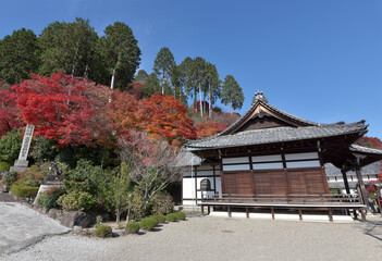 Obraz premium 紅葉の善峯寺 釈迦堂 京都市