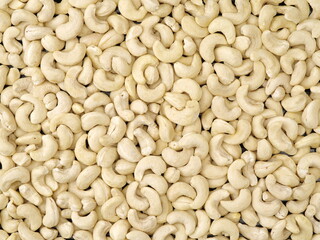close up of cashew nuts