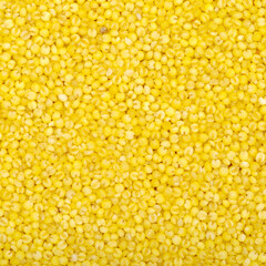 Millet background