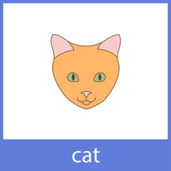 Cat. Pets, domestic animals. English vocabulary word card.