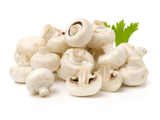 mushrooms on a white background