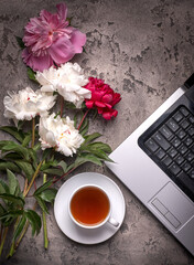 Coffe, peonies and laptop on grey vintage background
