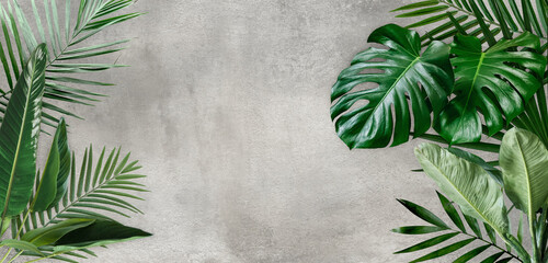 Product display with natural concept, tropical leaves on cement background. Material for advertising and creativity.  © Artem