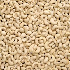 Cashew background 