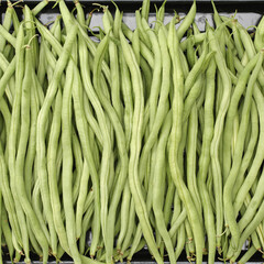 Green kidney bean on white background 