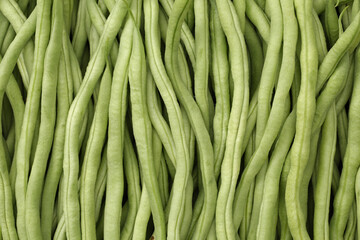 Green kidney bean on white background 