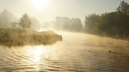 Fototapeta premium colorful summer morning with golden light and fog between hills