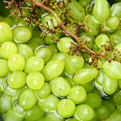 bunch of grapes
