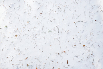 Forest snow background. Top view of the snow covered with pine needles and twigs.