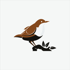 Bird Illustration Dipper Vector Animal or Fauna Design Graphic Element Template