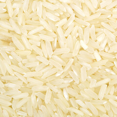 white rice background