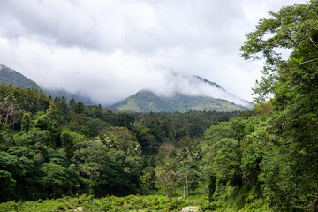 Volcano mountain view in green forest landscape. Cloudy top of mountain. Tropical island hiking...