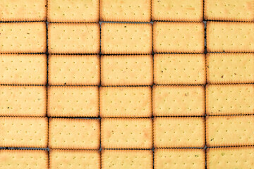 Biscuit Texture Closeup 