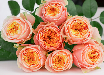 bouquet of pink orange fresh roses close up view