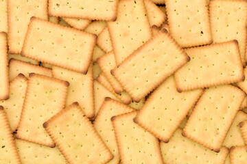 Biscuit Texture Closeup 
