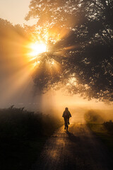 Early misty mornings in London's parks see many people cycling to work
