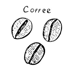 Set of coffee beans, vector illustration, hand drawn sketch