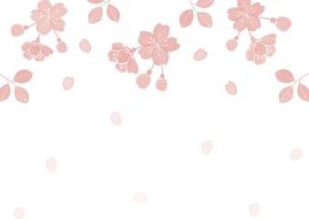 さくら　春　植物　