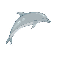 Vector Cartoon Dolphin Illustration