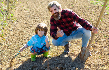 Family planting a tree like. Father helping son. Dad and kid gardening in garden ground.