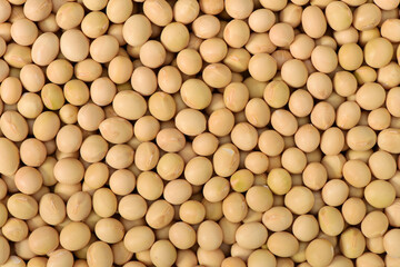 Soybean background