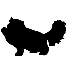 可愛いペルシャのシルエット