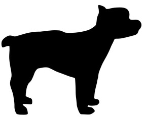 可愛いヨークシャテリアのシルエット