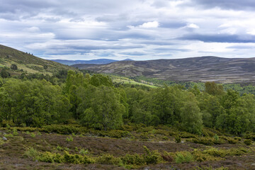 Fototapeta na wymiar Beautiful scenery along the way from Inverness to Aviemore , Scotland