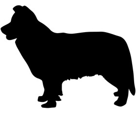 可愛いボーダーコリーのシルエット