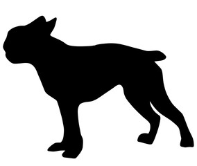 可愛いボストンテリアのシルエット