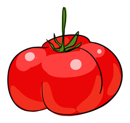 Tomato stock illustration