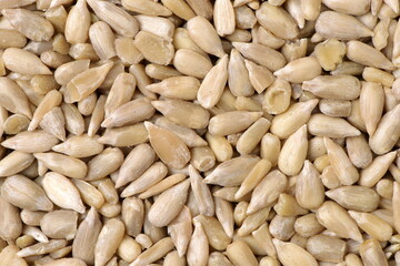 Peeled sunflower seeds pile background 