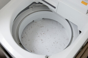 The cleaning of a washing machine tub