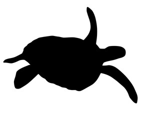 可愛いウミガメのシルエット