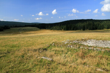 Fototapeta premium Landscape of Izera Mountains in Sudetes, Poland
