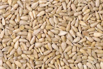 Peeled sunflower seeds pile background 