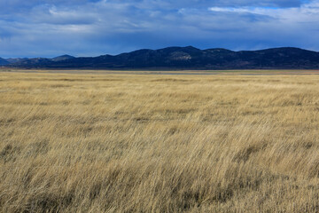 Laguna de Gallocanta