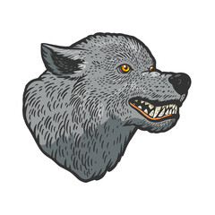 Wolf head tattoo color sketch engraving vector illustration. T-shirt apparel print design. Scratch board imitation. Black and white hand drawn image.