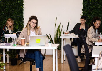 Group of a young female freelancers working in an office.
