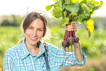 Young gardener working in summer garden and picking up organic vegetables