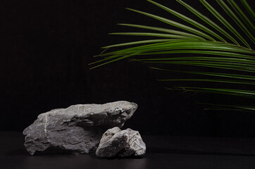 Stone podium with green palm leaf  at summer night for showing packaging and product on dark black...