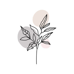 Social media stories and post.