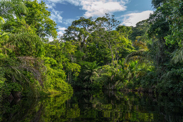 Canal in the national park of Tortuguero with its tropical rainforest along the Caribbean Coast of Costa Rica, Central America.