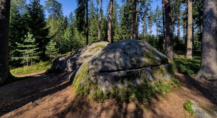 Fototapeta premium Wigglestone area Amaliendorf Lower Austria