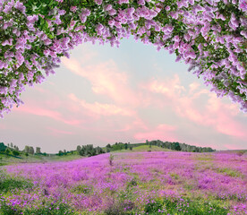 Idyllic spring background with blossoming lilac bushes flowers and pink wildflowers on meadow. Pink...