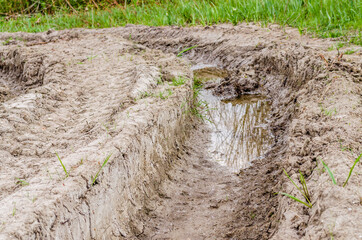 Traces of wheels on a muddy road through the forest in Petrovaradin, Novi Sad, Serbia